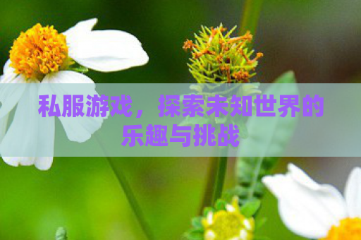 私服游戏，探索未知世界的乐趣与挑战