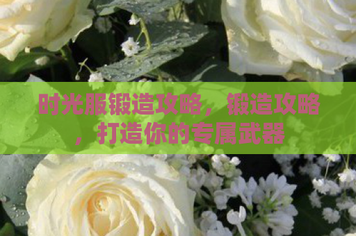 时光服锻造攻略，锻造攻略，打造你的专属武器