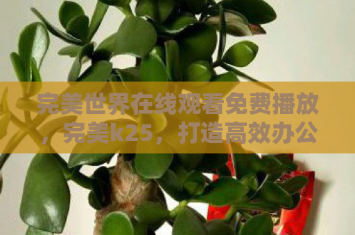 完美世界在线观看免费播放，完美k25，打造高效办公与娱乐体验的智能设备