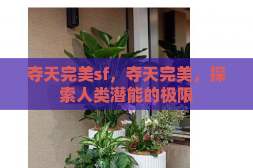 夺天完美sf，夺天完美，探索人类潜能的极限