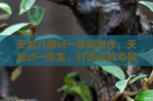 天龙八部sf一条龙制作，天龙sf一条龙，打造你的专属武侠世界