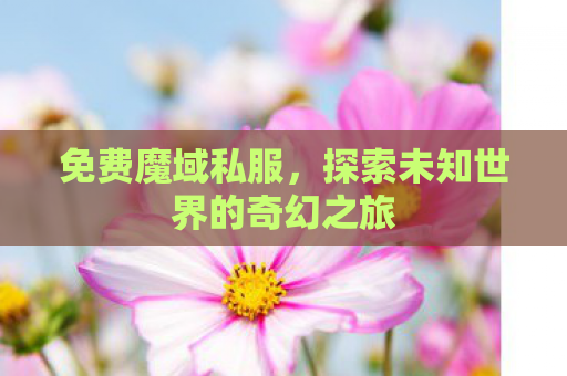 免费魔域私服，探索未知世界的奇幻之旅