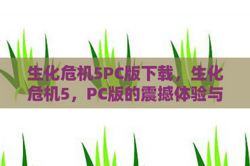 生化危机5PC版下载，生化危机5，PC版的震撼体验与游戏评测