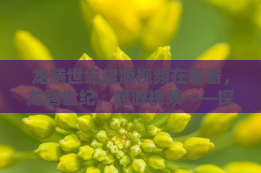龙腾世纪起源视频在哪看，龙腾世纪，起源视频——探索未知世界的奇幻之旅
