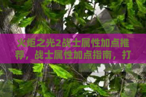 火炬之光2战士属性加点推荐，战士属性加点指南，打造火炬之光2中的最强战士