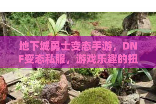 地下城勇士变态手游，DNF变态私服，游戏乐趣的扭曲与风险