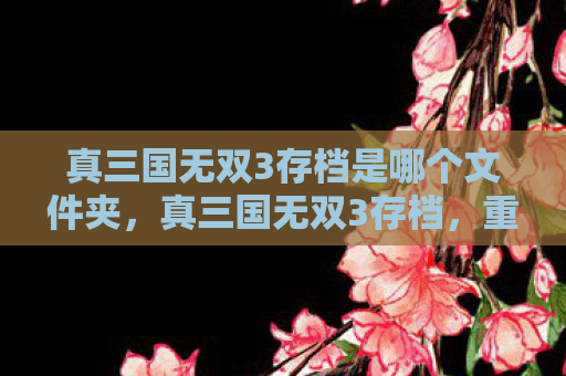 真三国无双3存档是哪个文件夹，真三国无双3存档，重温经典，再战沙场