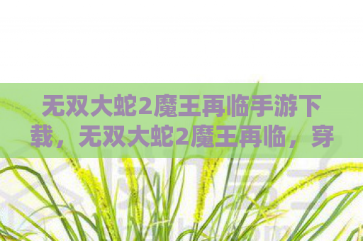 无双大蛇2魔王再临手游下载，无双大蛇2魔王再临，穿越时空的终极战役