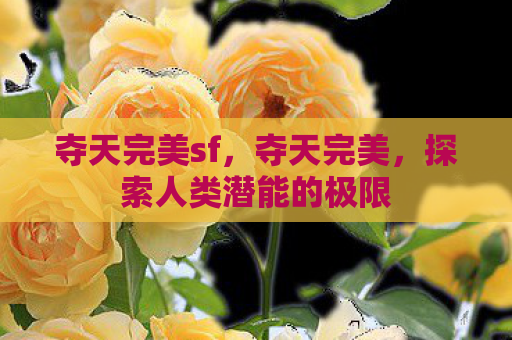 夺天完美sf，夺天完美，探索人类潜能的极限