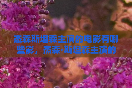 杰森斯坦森主演的电影有哪些影，杰森·斯坦森主演的电影，硬汉与动作传奇的银幕之旅