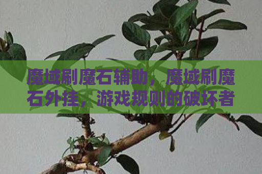 魔域刷魔石辅助，魔域刷魔石外挂，游戏规则的破坏者