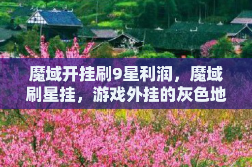 魔域开挂刷9星利润，魔域刷星挂，游戏外挂的灰色地带与风险警示