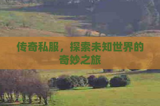 传奇私服，探索未知世界的奇妙之旅