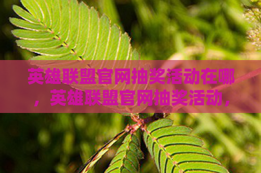 英雄联盟官网抽奖活动在哪，英雄联盟官网抽奖活动，幸运转盘，惊喜连连！