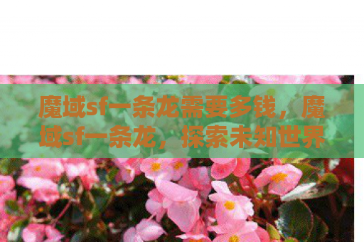 魔域sf一条龙需要多钱，魔域sf一条龙，探索未知世界的奇幻之旅