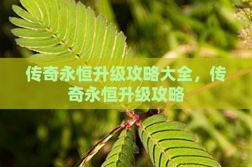 传奇永恒升级攻略大全，传奇永恒升级攻略