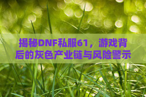 揭秘DNF私服61，游戏背后的灰色产业链与风险警示