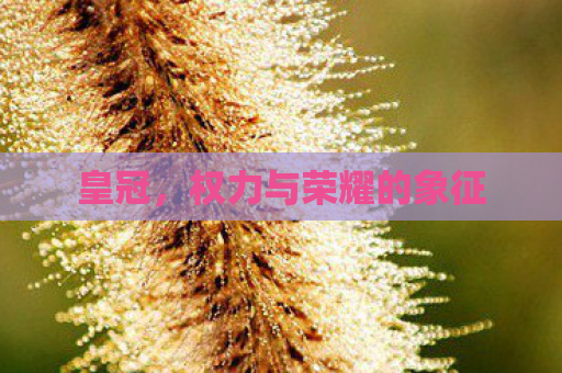 皇冠，权力与荣耀的象征