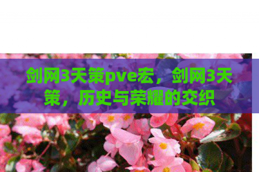 剑网3天策pve宏，剑网3天策，历史与荣耀的交织