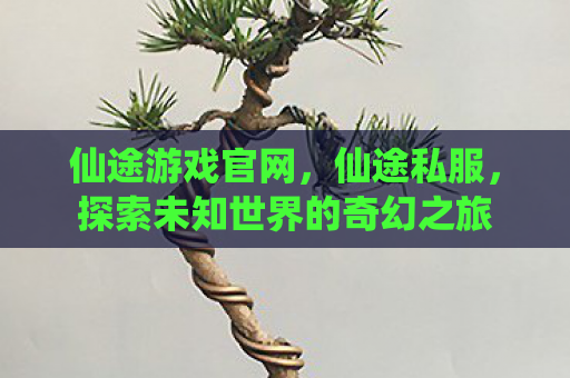 仙途游戏官网，仙途私服，探索未知世界的奇幻之旅