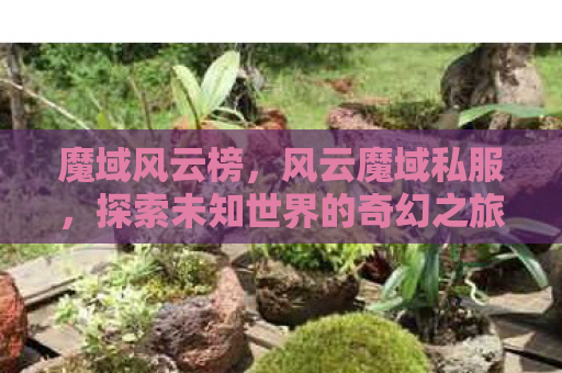 魔域风云榜，风云魔域私服，探索未知世界的奇幻之旅