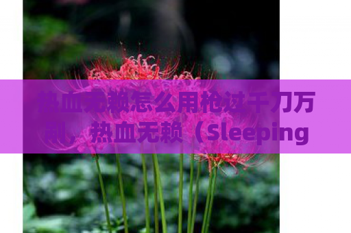 热血无赖怎么用枪过千刀万剐，热血无赖（Sleeping Dogs）是一款以香港为背景的开放世界动作冒险游戏，玩家可以在游戏中使用各种武器，包括枪械。以下是一些关于如何在热血无赖中使用枪械的技巧和建议