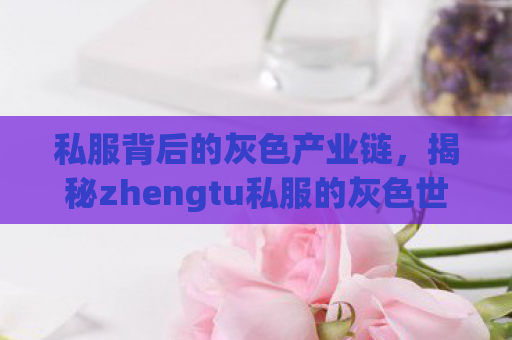 私服背后的灰色产业链，揭秘zhengtu私服的灰色世界