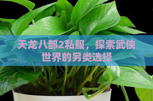 天龙八部2私服，探索武侠世界的另类选择