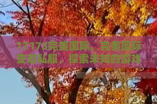 17173完美国际，完美国际变态私服，探索未知的游戏世界