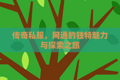 传奇私服，网通的独特魅力与探索之旅