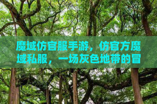 魔域仿官服手游，仿官方魔域私服，一场灰色地带的冒险