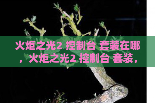 火炬之光2 控制台 套装在哪，火炬之光2 控制台 套装，打造你的专属神器