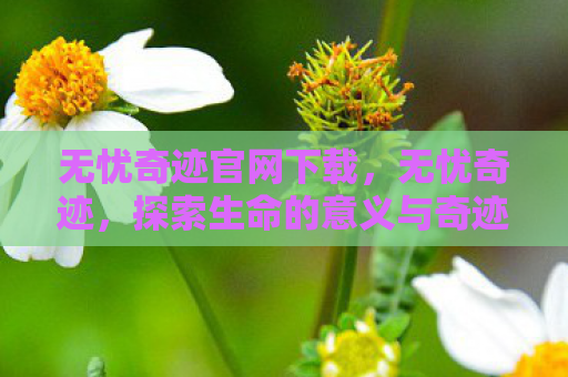 无忧奇迹官网下载，无忧奇迹，探索生命的意义与奇迹