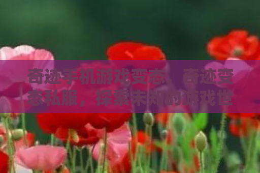 奇迹手机游戏变态，奇迹变态私服，探索未知的游戏世界