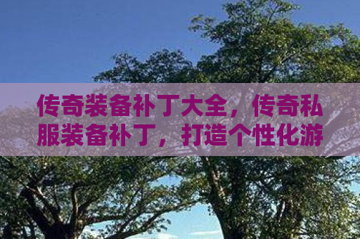 传奇装备补丁大全，传奇私服装备补丁，打造个性化游戏世界的秘密武器