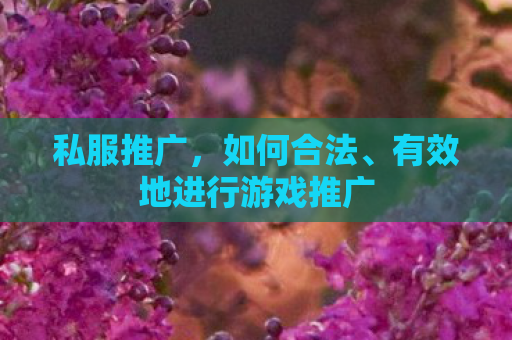 私服推广，如何合法、有效地进行游戏推广