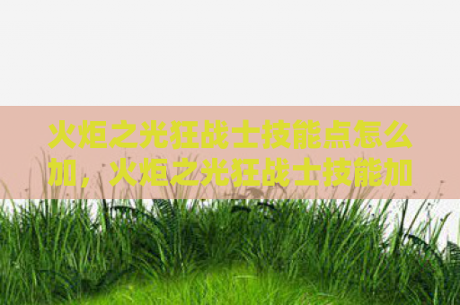 火炬之光狂战士技能点怎么加，火炬之光狂战士技能加点指南，打造无敌战士