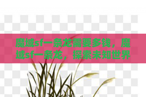 魔域sf一条龙需要多钱，魔域sf一条龙，探索未知世界的奇幻之旅