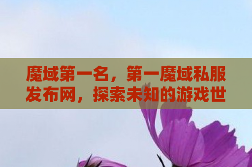 魔域第一名，第一魔域私服发布网，探索未知的游戏世界