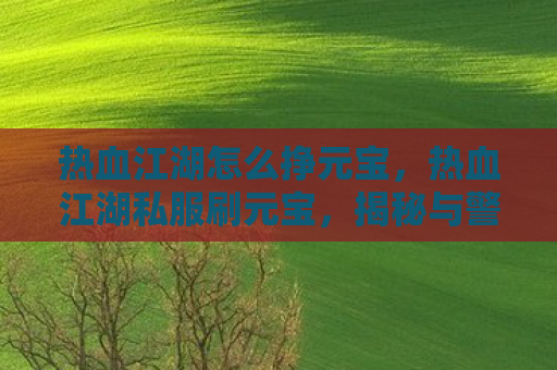 热血江湖怎么挣元宝，热血江湖私服刷元宝，揭秘与警示