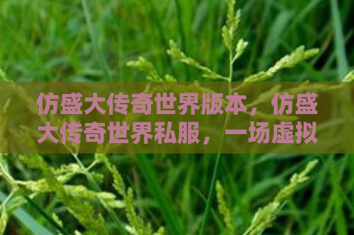 仿盛大传奇世界版本，仿盛大传奇世界私服，一场虚拟世界的冒险与探索