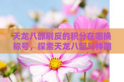 天龙八部刷反的积分在哪换称号，探索天龙八部与神雕侠侣的武侠世界，金庸笔下的江湖情仇