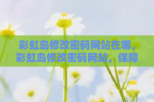 彩虹岛修改密码网站在哪，彩虹岛修改密码网站，保障账号安全，轻松操作指南