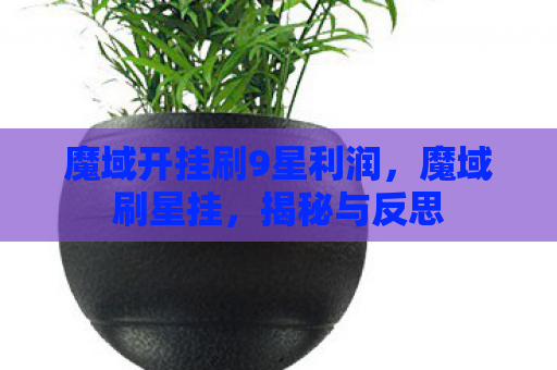 魔域开挂刷9星利润，魔域刷星挂，揭秘与反思
