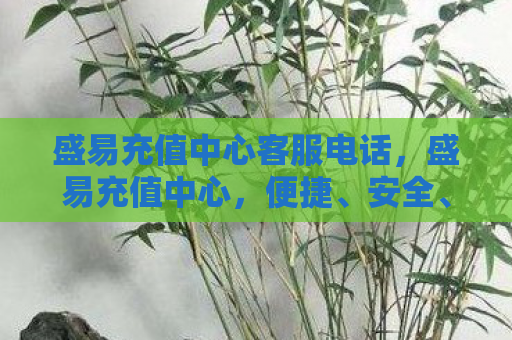 盛易充值中心客服电话，盛易充值中心，便捷、安全、高效的充值服务体验