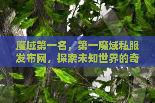 魔域第一名，第一魔域私服发布网，探索未知世界的奇幻之旅