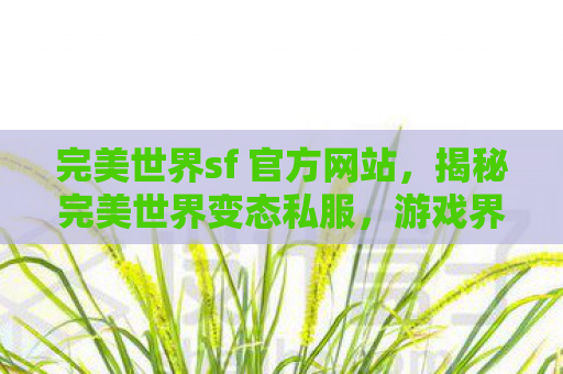 完美世界sf 官方网站，揭秘完美世界变态私服，游戏界的灰色地带
