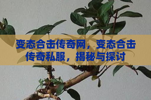 变态合击传奇网，变态合击传奇私服，揭秘与探讨