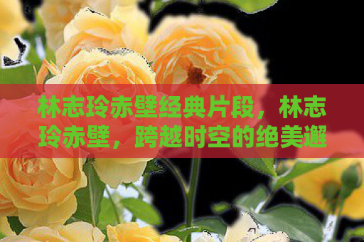 林志玲赤壁经典片段，林志玲赤壁，跨越时空的绝美邂逅