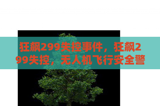 狂飙299失控事件，狂飙299失控，无人机飞行安全警钟长鸣